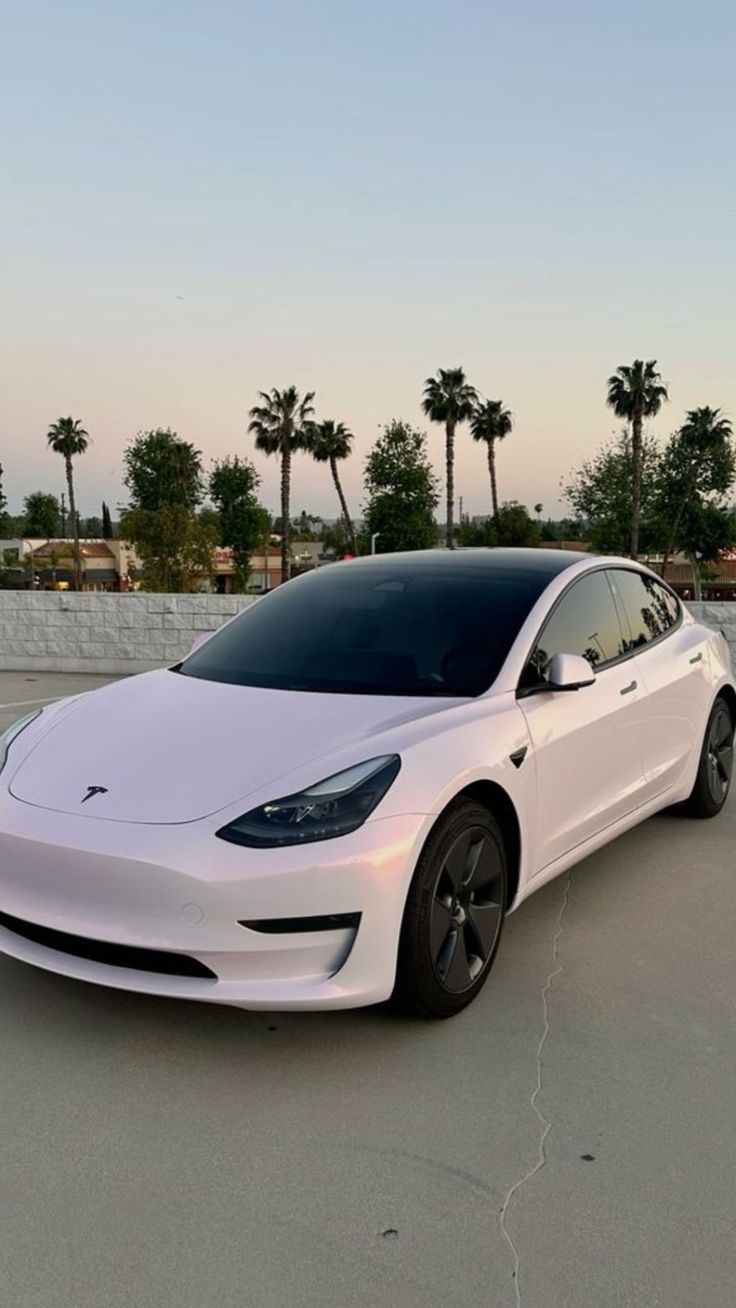 Model S Plaid